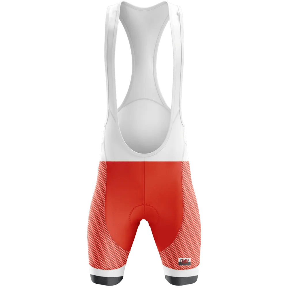 Wales V2 Bib Shorts