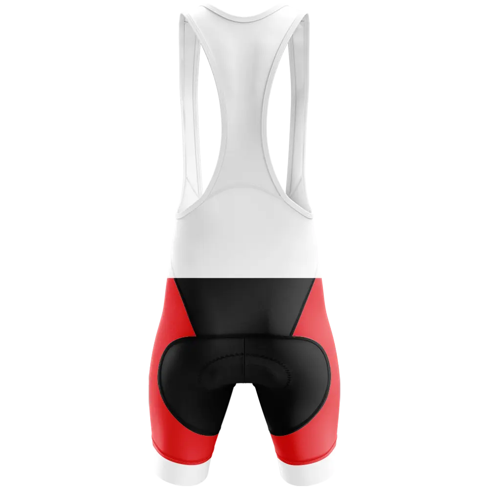 Northern Ireland V2 Elite Bib Shorts  